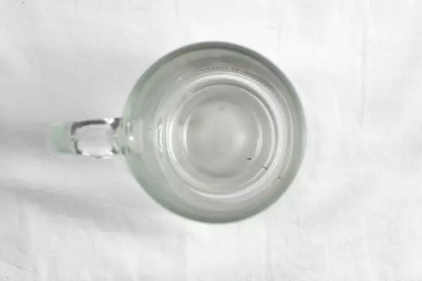 Vtg Canada Centennial 1867-1967 Clear Glass Mug Cup Pre-owned Collectible