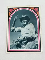 Vintage 1978 Boxcar Enterprises Elvis Facts Card No. 15 Collectible Card