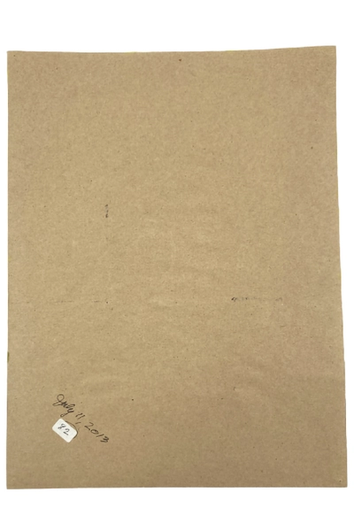 Hand Painted Art Coach Shades of Green and Yellow July 2013 Portrait Handmade 