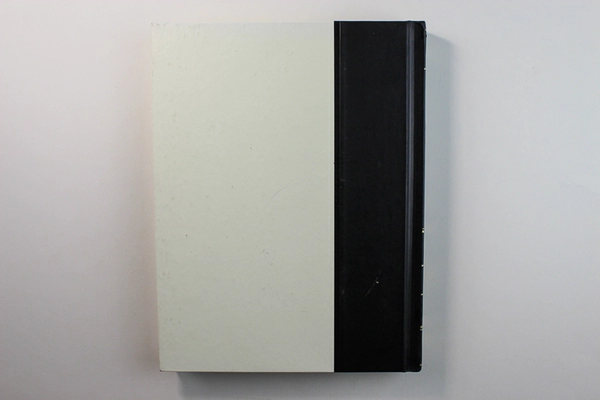 Encyclopaedia Britannica Medical & Health 1990 Book in Good Condition