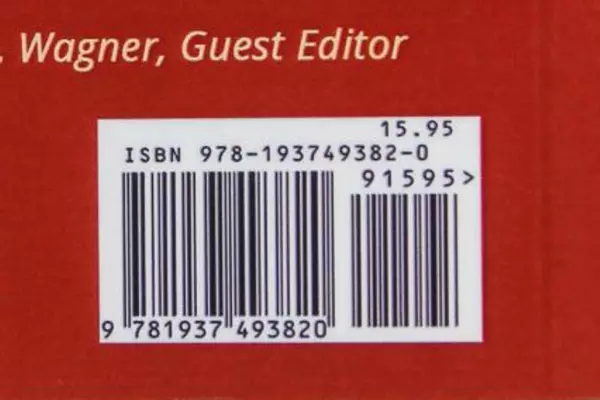 Coincidences by Joan Michalke Ritchey 2015 Paperback - Good Condition