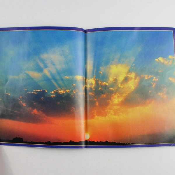 Lot of 2 Kidsbooks Eyes On Adventure Exploring Sea & Weather Pre-owned