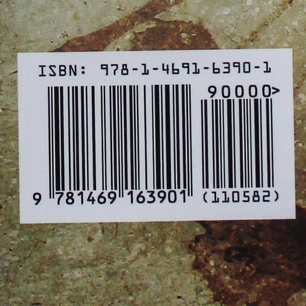 Kernels From A Cracked Nut by Foster Carlyle 2012 Xlibris Paperback Novel
