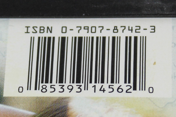 Chasing Liberty DVD 2004 Mandy Moore Widescreen Pre-Owned As-Is