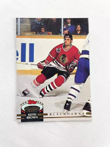 Lot of 80+ 1992-93 Topps NHL Hockey Cards - Very Good Condition