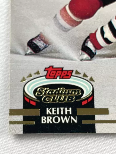 Lot of 80+ 1992-93 Topps NHL Hockey Cards - Very Good Condition