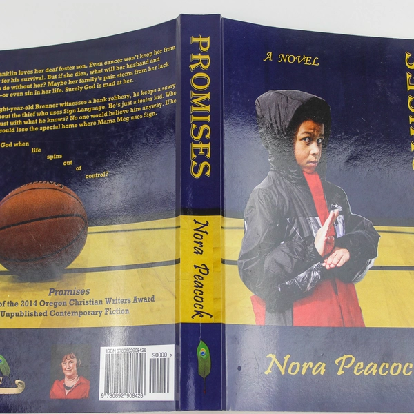 Promises by Nora Peacock, 2017 Paperback Novel - Good Condition