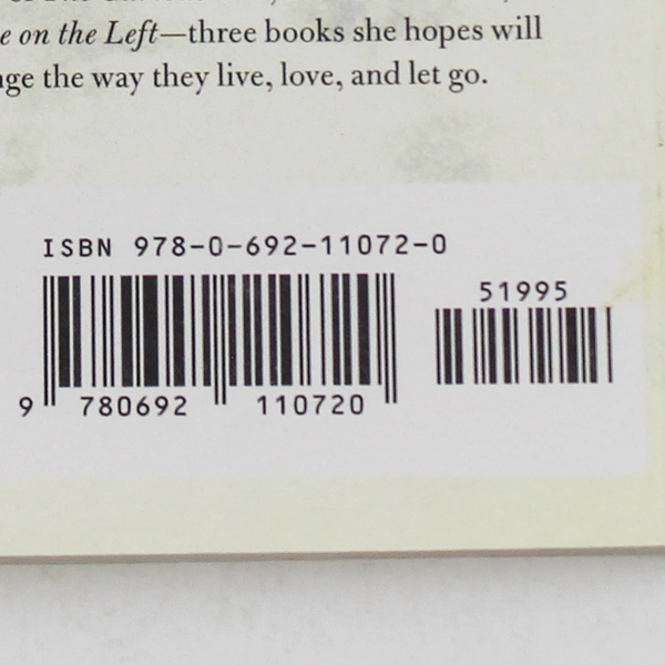 The Yellow House On The Left by Chelsea Berler | Very Good Condition Book