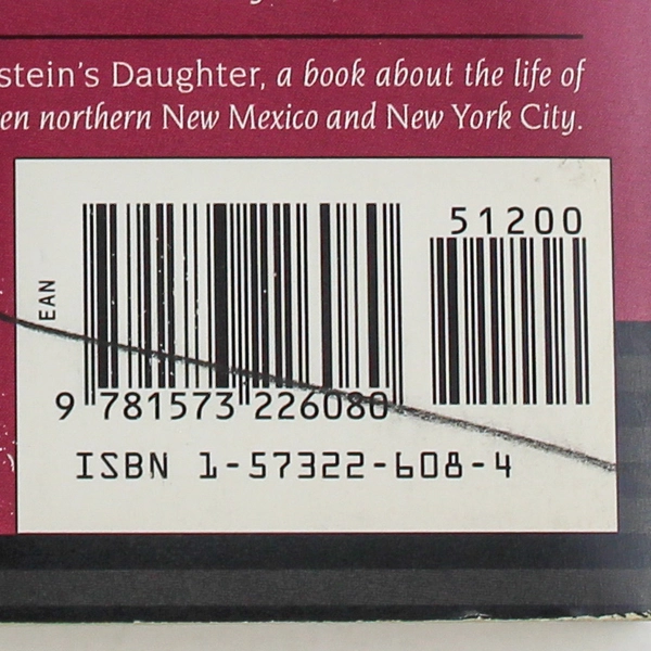 Violette's Embrace by Michele Zackheim 1996 Paperback Good Condition