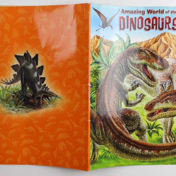 Amazing World of Dinosaurs Book by Silver Dolphin, Good Condition, Fun Read!