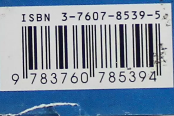 Das Geburtstags Buch by Armand Eisen 1995 Hardcover with Dust Jacket