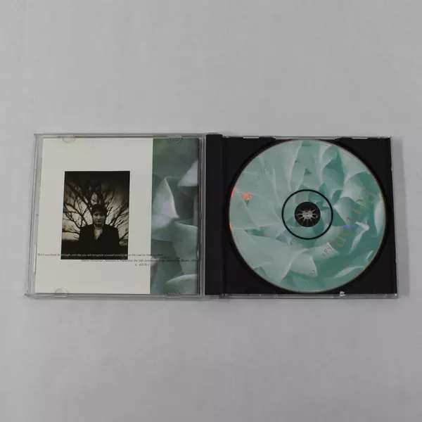 Ferron Phantom Center 1995 CD EarthBeat Records Folk Rock Music Good Condition