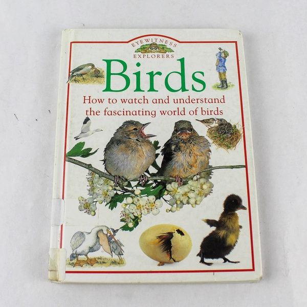 Eyewitness Explorers Birds Hardcover Book by Jill Bailey & David Burnie