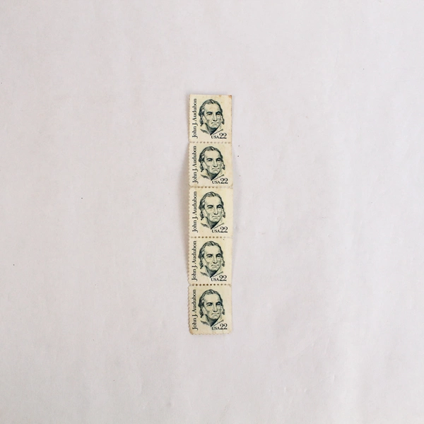 Lot of 5 US 1863 John J Audubon 22c Stamps MNH Unused Fine Condition