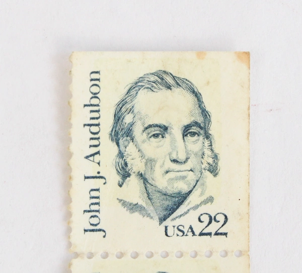 Lot of 5 US 1863 John J Audubon 22c Stamps MNH Unused Fine Condition