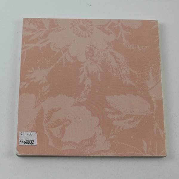 A Song Of My Self by Mary Hyatt Day Paperback Book - Good Condition