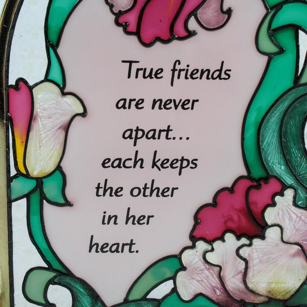 Joan Baker Designs Frosted Stain Glass Double Pane Pink Peony 1 Friends 1998 