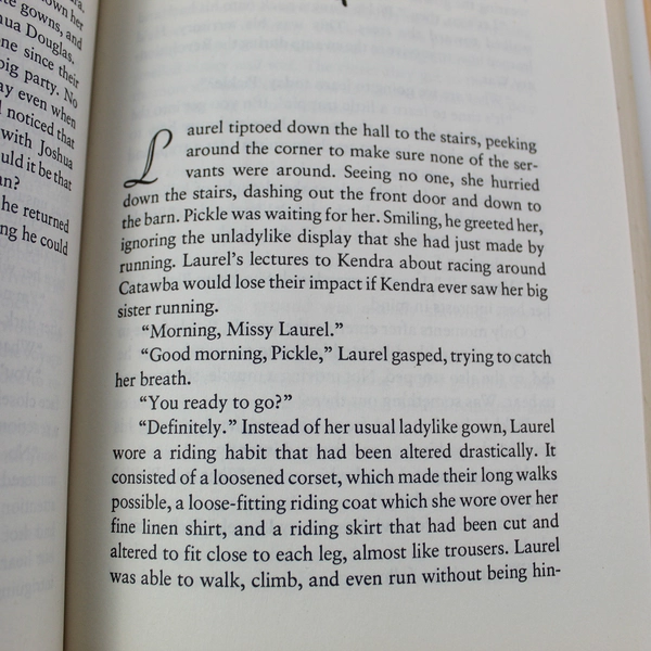 Vintage The Winds of Catawba by Laurie Stahl HC Dust Jacket 1979