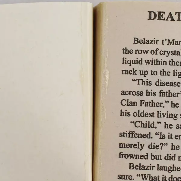 Vtg The Ship Avenged by S.M. Stirling Sci-Fi Novel | Pre-Owned Book