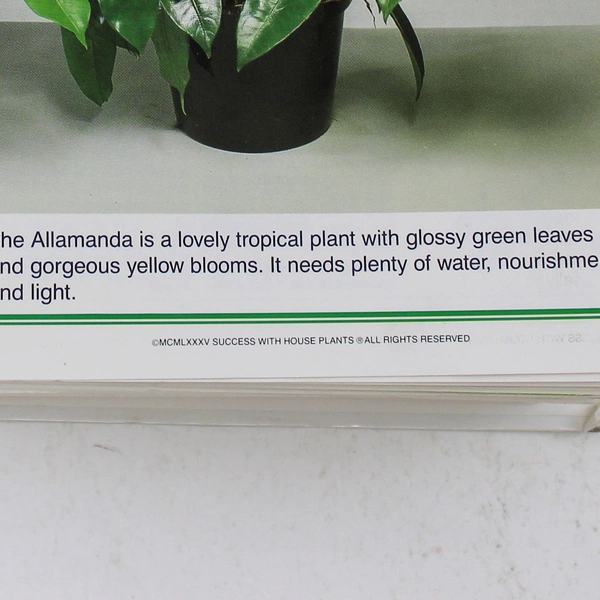 Success With House Plants 1985 Hardcover Illustrated Book - Missing Pages