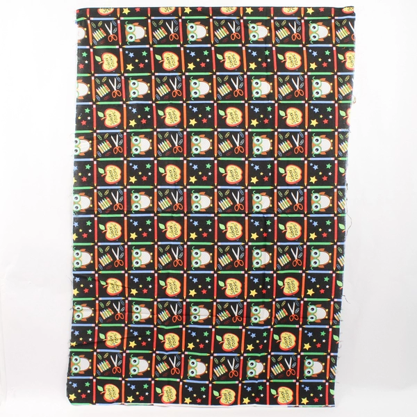 Rosenthal School Rocks Cotton Fabric Remnant 41"x27" - Fun Crafting Material