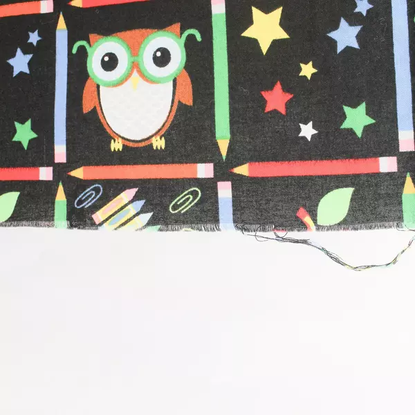 Rosenthal School Rocks Cotton Fabric Remnant 41"x27" - Fun Crafting Material