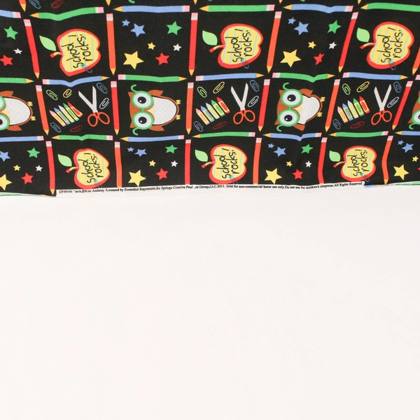 Rosenthal School Rocks Cotton Fabric Remnant 41"x27" - Fun Crafting Material