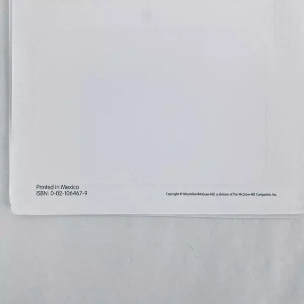 Lot of MacMillian McGraw-Hill WorkMats for Grade 3 Math - Missing Mat 3