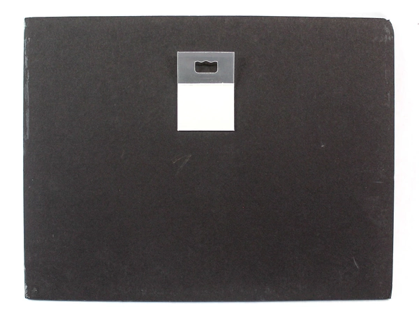 Acrylic Painting Feline Cat by Mary Rash Domestic Cat Wall Art