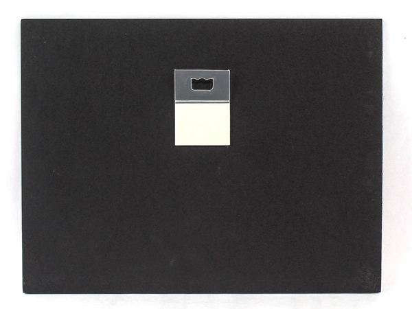 Acrylic Painting Forest Bird by Mary Rash Signed McMinnville Artist 2013