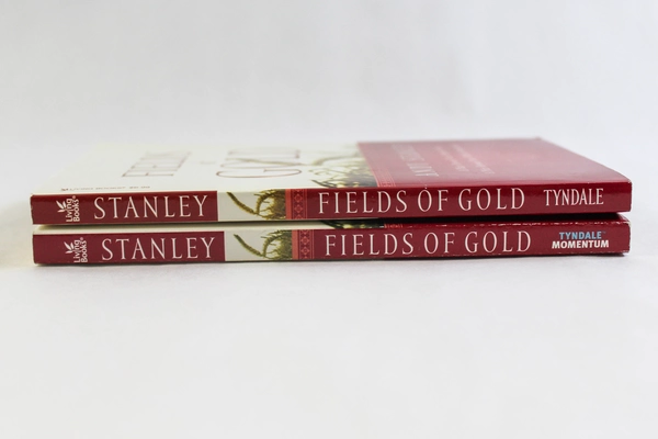 Lot of 2 Fields of Gold Books by Andy Stanley Tyndale Living 2004 Good Condition