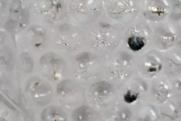 Antique OK Trade Mark Mini Clear Glass Candy Scoop Cup Hobnail 1.5"