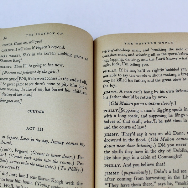 The Complete Plays by John M. Synge Vintage Paperback 1960 Good Condition