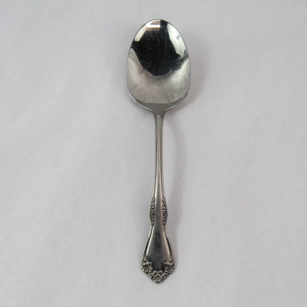 Oneida Wm A Rogers Amadeus 8.5" Serving Spoon Vintage Stainless Flatware