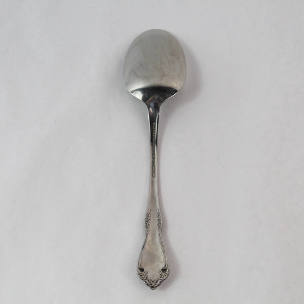 Oneida Wm A Rogers Amadeus 8.5" Serving Spoon Vintage Stainless Flatware