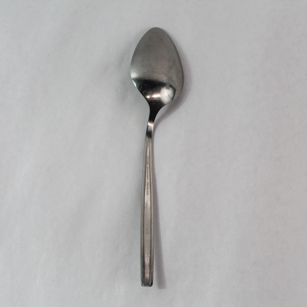 Vintage Oneida Community Northland Love Story Serving Spoon 8.5"
