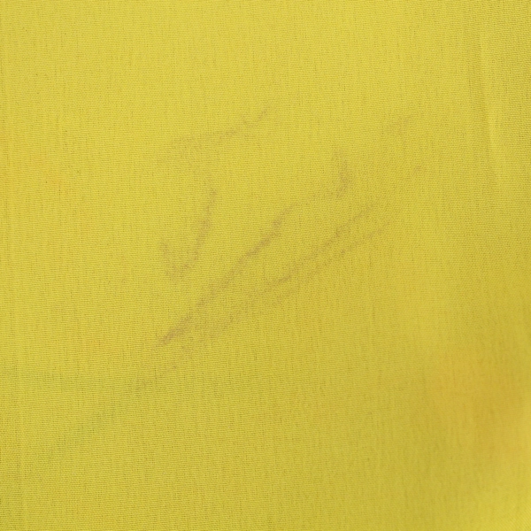 Thanksgiving Turkey Yard Flag 28x40 E Mishan & Sons Orange Brown Good Condition