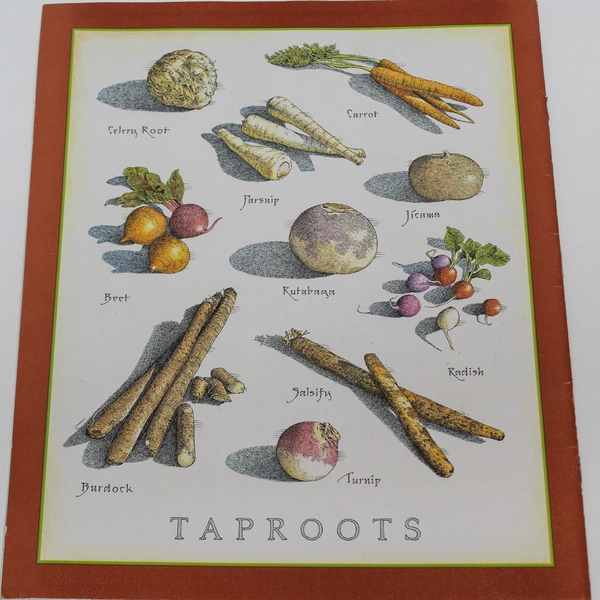 Cook's Illustrated Magazine March-April 2011 - Good Condition, Recipes & Tips