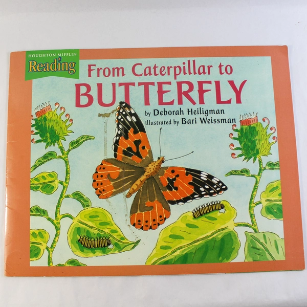 Lot of 3 Houghton Mifflin Big Books: Taxi Dog, Beale Street Band & More