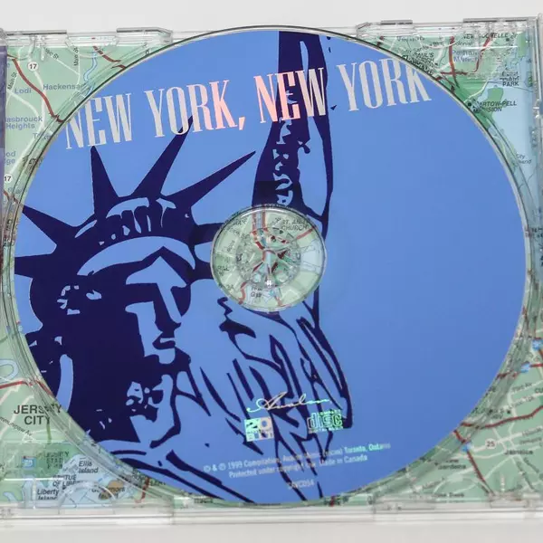 New York, New York CD by The Steve Wingfield Band 1999 - Good Condition