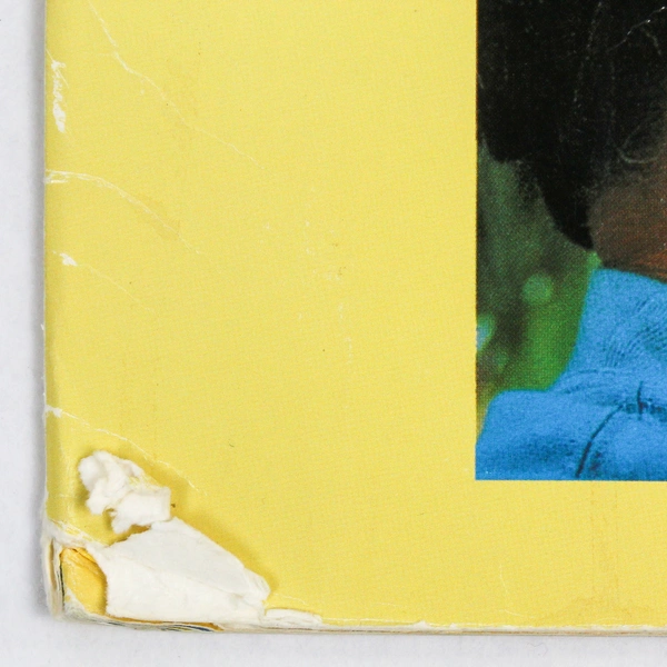 Scott Foresman Big Book "Lots of Dads" by Rotner & Kelly - Pre-Owned