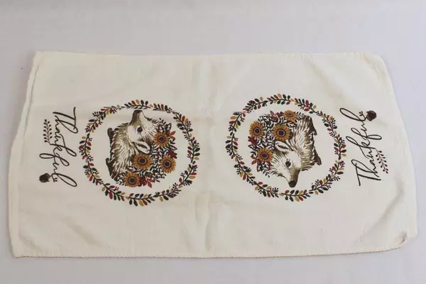 Lot of 2 Vintage Thanksgiving Hand Towels Kasa Fina Big Lots Hedgehog & Tree