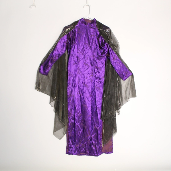 Lot of Adult Purple Dress & Metallic Cape Halloween Costume Women's Size 10