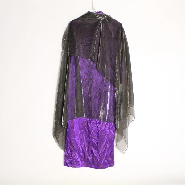 Lot of Adult Purple Dress & Metallic Cape Halloween Costume Women's Size 10