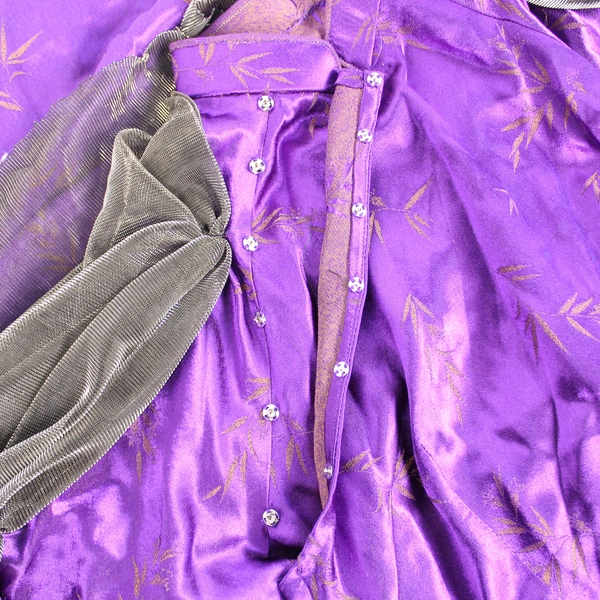 Lot of Adult Purple Dress & Metallic Cape Halloween Costume Women's Size 10