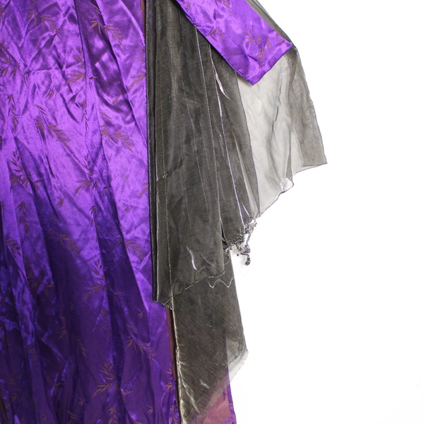 Lot of Adult Purple Dress & Metallic Cape Halloween Costume Women's Size 10