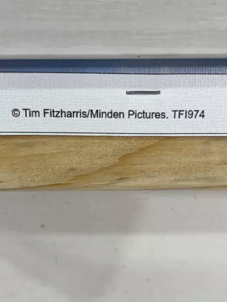 Tim Fitzharris Framed iCanvas Photo Print Sawtooth Range Stanley Lake Creek