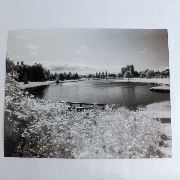 Vintage 11x14 Black & White Photograph of Pond Bridge Nature Park