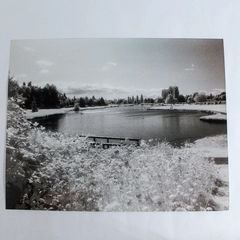 Vintage 11x14 Black & White Photograph of Pond Bridge Nature Park