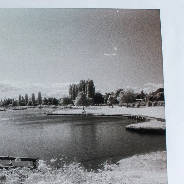 Vintage 11x14 Black & White Photograph of Pond Bridge Nature Park